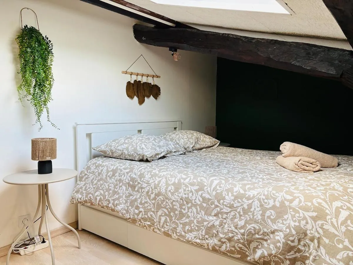 Apartament Appartement Proche Place Soult L 2 Ch L Climatise Castres