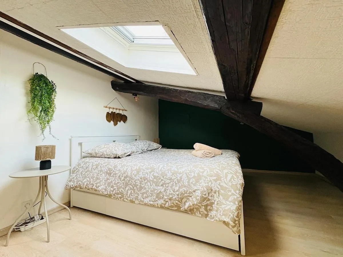 Appartement Proche Place Soult L 2 Ch L Climatise Castres  Francja
