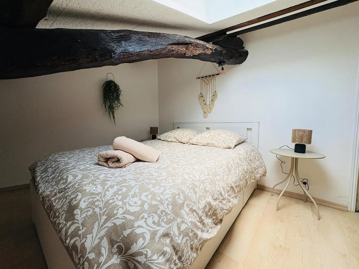 Apartament Appartement Proche Place Soult L 2 Ch L Climatise Castres  Francja